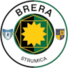 布雷拉斯特鲁米察U19 布雷拉斯特鲁米察U19