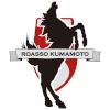 熊本深红 熊本深红